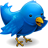 Twitter link